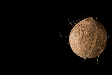 One whole ripe coconut, on black background