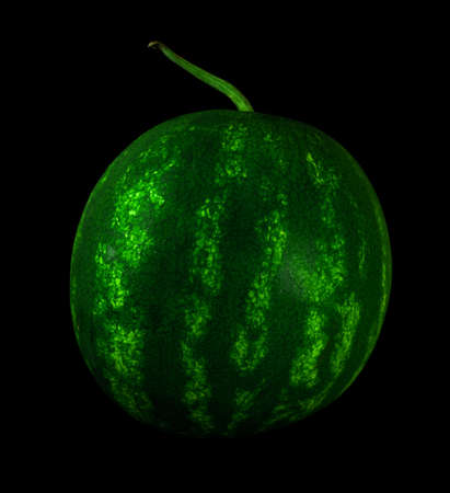 Whole ripe watermelon fruit, on black background isolatedの写真素材