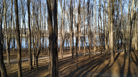 Sunny winter day in the park