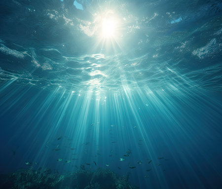 ocean underwater landscape seaの素材