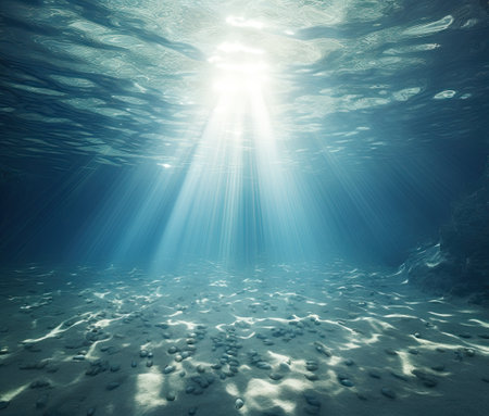 ocean underwater landscape seaの素材