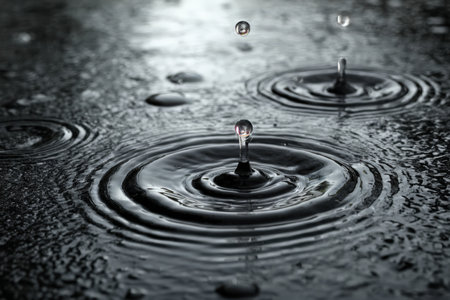 Water droplets fall onto a dark surface, creating mesmerizing ripples and patterns, highlighting the beauty of natural elements and the dynamic interaction of waterの素材
