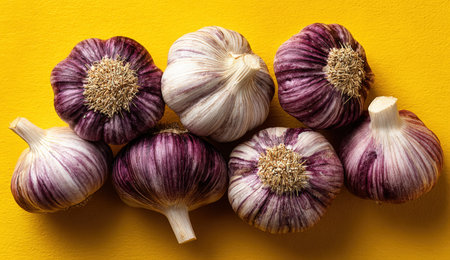 A collection of fresh garlic bulbs with rich purple skins displayed on a bright yellow surface, highlighting their natural beauty and culinary significanceの素材