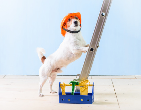 Humor worker with box full of tools standing on ladderの写真素材