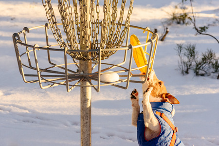 Stalemate tough situation at disc golf playground