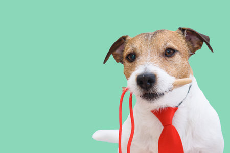 Humorous concept of Move the needle expression with dog wearing red tie and holding needle in mouthの写真素材