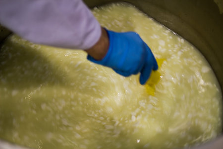 the process of making cheese