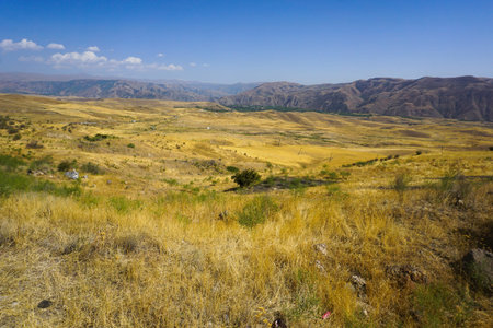 Armenian Landscape Steppe with Dry Grass in the Southern Part of the Country