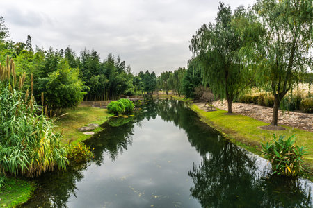 China Shanghai Botanical Garden with Green River Shore Trees and Water Lily