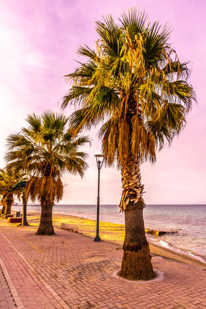 Pefkochori Promenade Street Palm Trees Row with Sandy Beach Shore Sea Viewpoint at Sunsetの写真素材