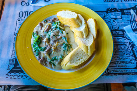 Ukrainian Traditional Beef Stroganoff with Sliced Baguette Bread on a Green Plate