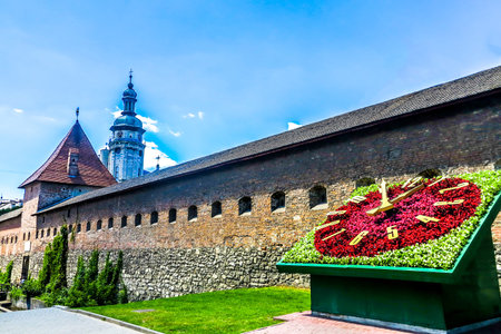 Lviv Hlyniany Fortification Gate Wall with Bernardine Church Monastery Tower and the Flower Clock