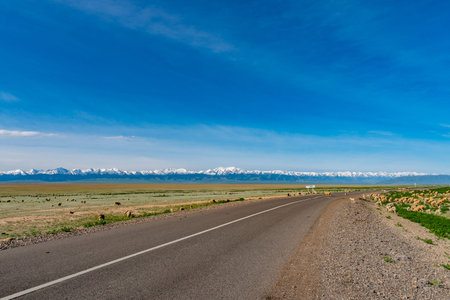 Kokpek A351 Highway Picturesque Breathtaking Panoramic Landscape Steppe View on a Sunny Blue Sky Day