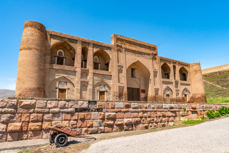 Hisor Fortress Madrasa Nav Picturesque Breathtaking View with Flowers on a Sunny Blue Sky Dayのeditorial素材