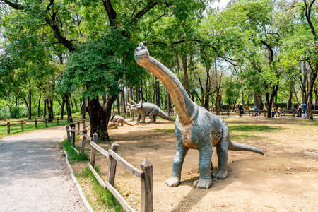 Islamabad Animal Zoo Picturesque Breathtaking View of a Brachiosaurus and Triceratops on a Sunny Blue Sky Dayの写真素材