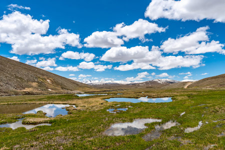 Deosai National Park Picturesque Breathtaking View of Several Lakes with Snow Capped Mountains on a...