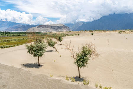 Skardu High Altitude Cold Katpana Desert Biama Nakpo Panoramic View of the Landscape on a Sunny Blue Sky Dayの写真素材