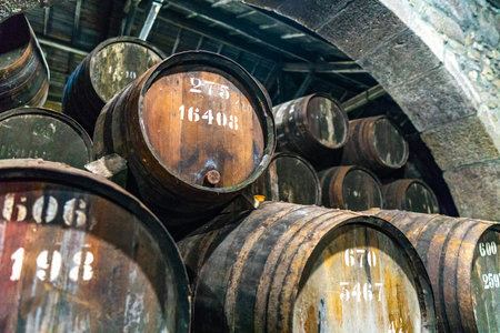 Porto Croft Port Wine Cellar Picturesque Interior View of Huge Traditional Wine Barrels
