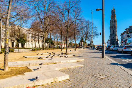Porto Jardim da Cordoaria Park Breathtaking Picturesque View with Pigeons taking a Sunbath on a Blue...