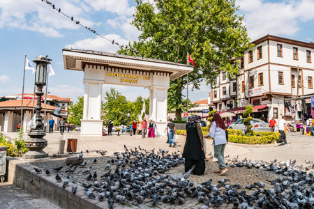 Ankara Haci Bayram Kitapcilar Carsisi Gate Breathtaking Picturesque View on a Blue Sky Day in Summerのeditorial素材