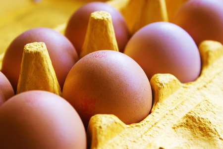 Eggs in box, with focus on central egg