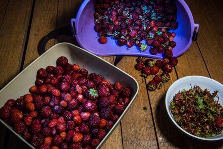 Harvest of the riped strawberry the separation of the leavesの写真素材