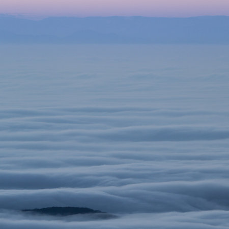 inversion fog in black forest, Germany