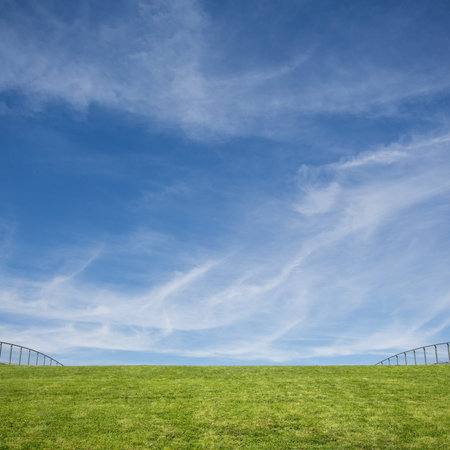 green grass roof and blue sky