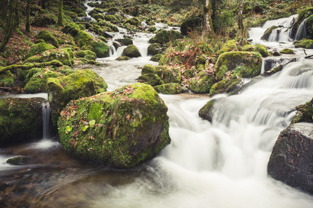 small stream in black forest, Germanyの写真素材
