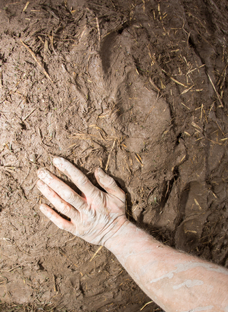 hand in mudの写真素材
