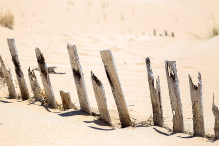 Old wooden fenceの写真素材