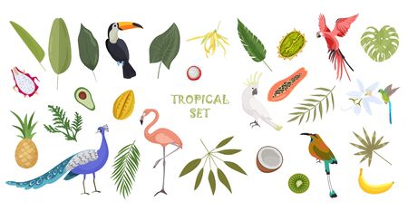 tropical summer set with birds, plants and fruitsのイラスト素材