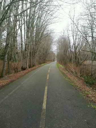 Walking a lonely path.