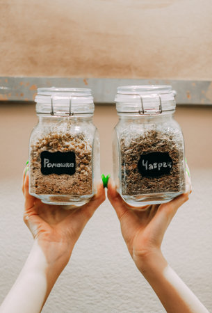 Hands holding a glass jar with dry useful herb close-up. Herbal tea. Herbs for treatment of folk methods.の写真素材