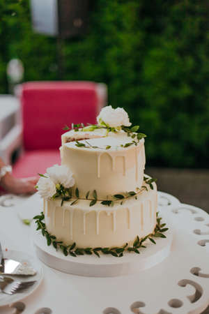 Beautiful white wedding cake with green leaves. Table decorの写真素材
