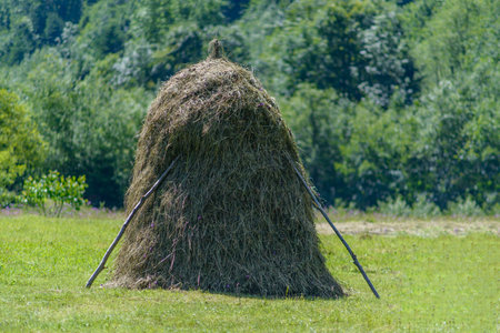 Haystack landscape