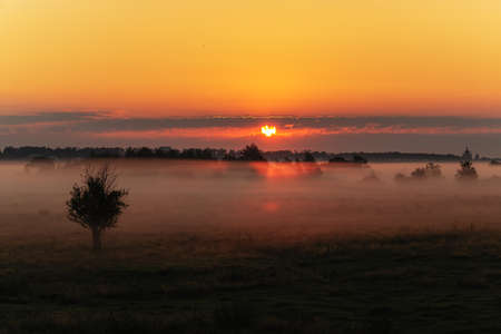 Beautiful sunrise fogの写真素材