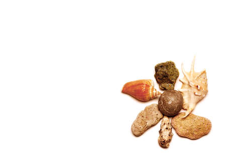 Sea Stones and Seashells on a White Backgroundの写真素材