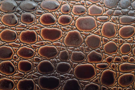 Skin snake backgroundの写真素材
