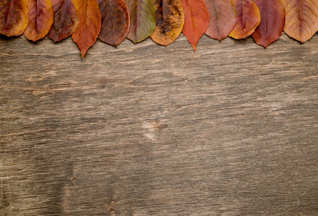Yellow leaves on a wooden background