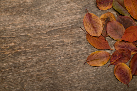 Yellow leaves on a wooden backgroundの写真素材