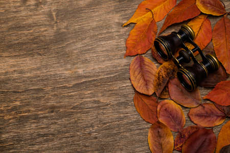 Old binoculars on a wooden backgroundの写真素材