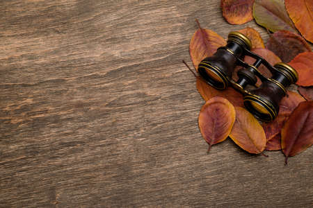 Old binoculars on a wooden backgroundの写真素材