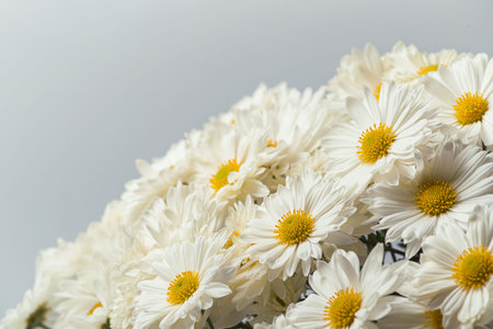 beautiful bouquet camomile for the holidayの写真素材
