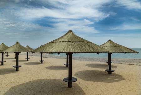 Thatched sun umbrellas on the sandy beachの写真素材
