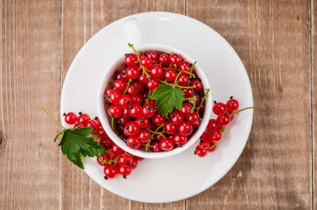 white cup full of red currant/white cup full of red currant.Top viewの写真素材
