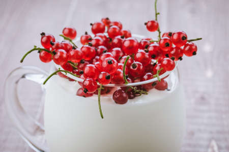 yogurt with red currant in glass/yogurt with red currant in glass. Tonedの写真素材