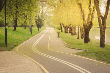 asphalted bicycle track in the park along the lake in sunny day