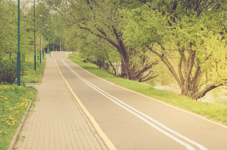 asphalted bicycle track in the park along the lake in sunrise