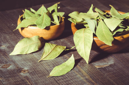 bay leaf on a dark wooden surface. selective focus